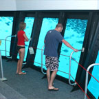 MANY ACTIVITIES ON PONTOON