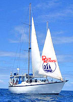 20m motor sailing schooner