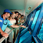 UNDERWATER OBSERVATORY