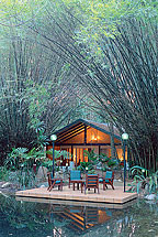 BAUHINIA LUXURY SUITES