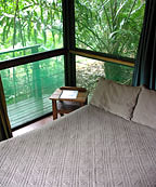 RAINFOREST HUT