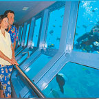 UNDERWATER OBSERVATORY