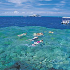 THE GREAT BARRIER REEF