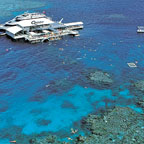 QUICKSILVER AT AGINCOURT REEF