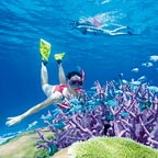 EXPLORE THE GREAT BARRIER REEF