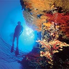 SCUBA DIVING ADDITIONAL COST