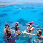 SNORKEL TOUR