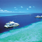 REEFWORLD