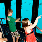 UNDERWATER VIEWING CHAMBER