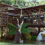 RAINFORESTATION WILDLIFE PARK