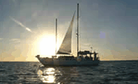 SPECTACULAR SUNSETS