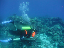 ALL DIVE GEAR INCLUDED