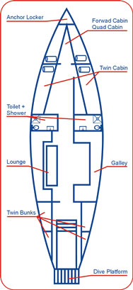 VESSEL LAYOUT