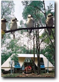 SWAG TENT VILLAGE