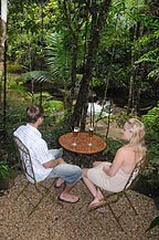 daintree cascades