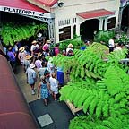 KURANDA TRAIN STATION