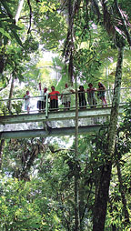 DAINTREE RAINFOREST DISCOVERY CENTRE