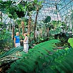 RAINFOREST DOME
