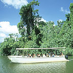 DAINTREE RIVER CRUISE