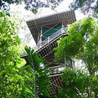 ARIEL CANOPY