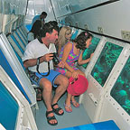 SEMI SUB TOUR