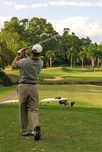 PARADISE PALMS GOLF COURSE