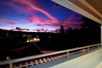 TROPICAL NIGHTS