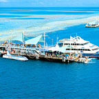Great Barrier Reef Adventure
