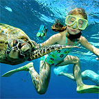 SNORKELLING GEAR INCLUDED