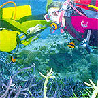 SCUBA DIVING ADDITIONAL CHARGE