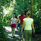 EASY PACED WALKING