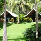 PALM BUNGALOWS