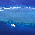 VISIT 3 REEF SITES AT AGINCOURT REEF