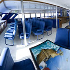 CABIN INTERIOR