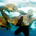 SNORKEL GEAR INCLUDED