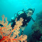 FREE 10MIN INTRO SCUBA DEMO