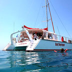 REEF DAYTRIPPER