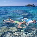 SNORKEL THE REEF