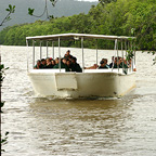 DAINTREE RIVER CRUISE