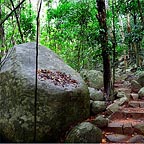 FITZROY WALKING TRACK