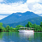 DAINTREE RIVER CRUISE