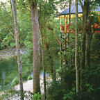 TREEHOUSE DINING