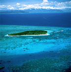 GREEN ISLAND