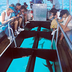 GLASS BOTTOM BOAT