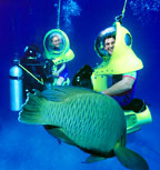 SCUBA DOO