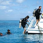 INTRO DIVE