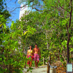 ISLAND WALK