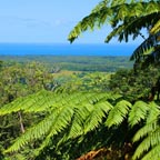 ALEXANDRA RANGE LOOKOUT
