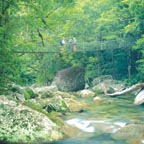 GUIDED WALK