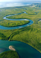 DAINTREE RIVER